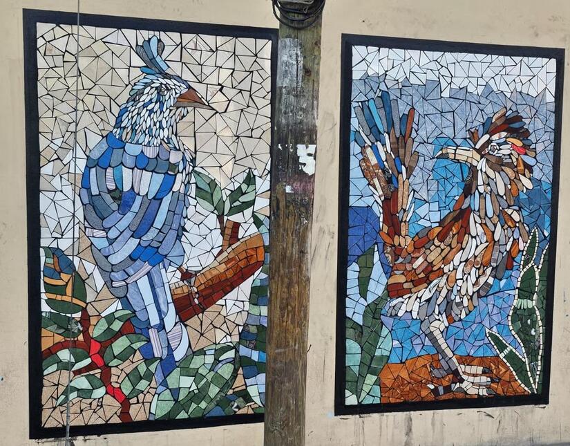 Ministerio-de-la-Juventud-(12)