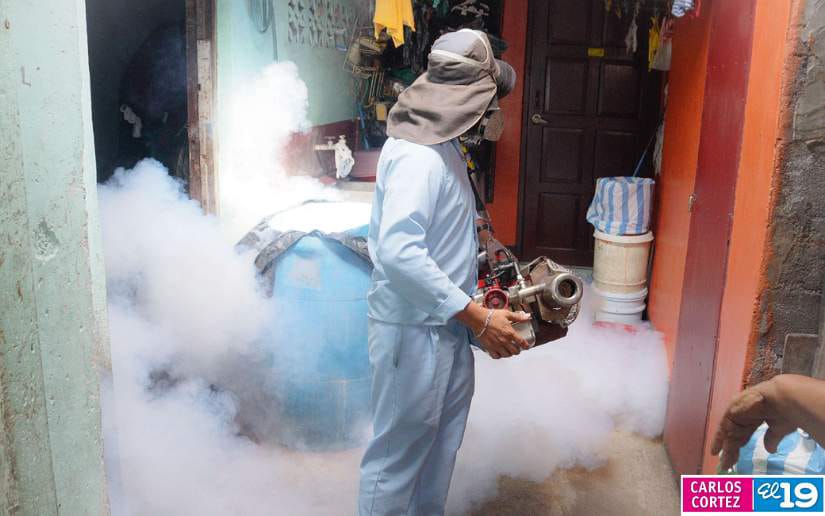BRIGADAS-DE-FUMIGACION-6