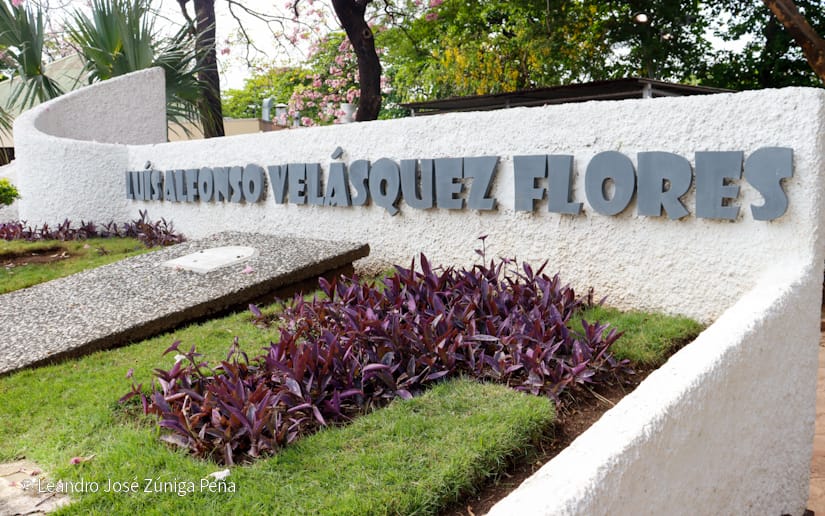 Luis-Alfonso-Velasquez-Flores-14