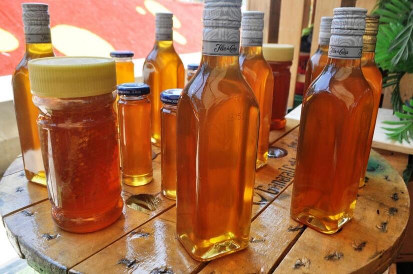 Apicultores-de-Nicaragua-2