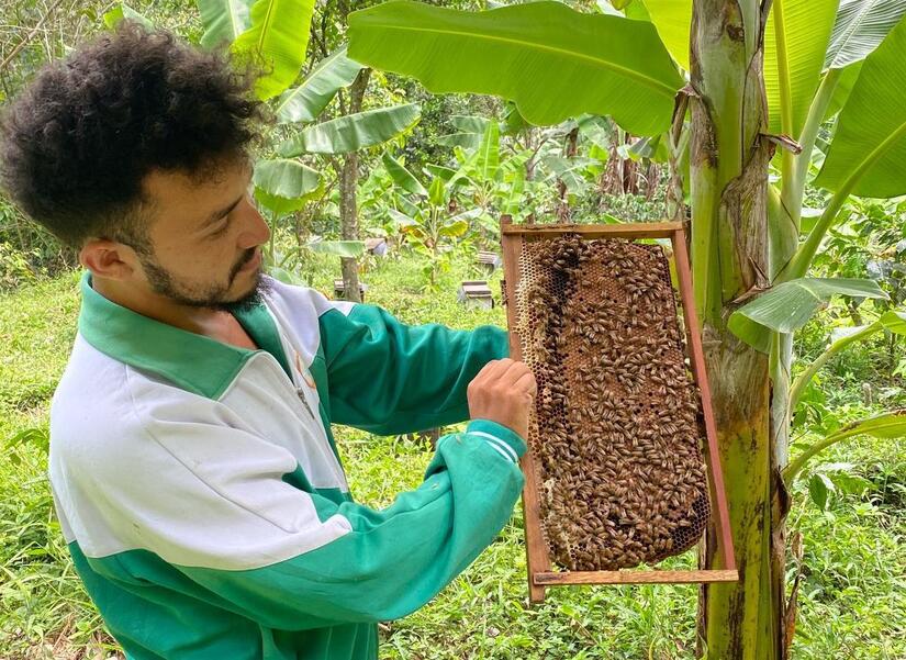 Apicultores-de-Nicaragua-4