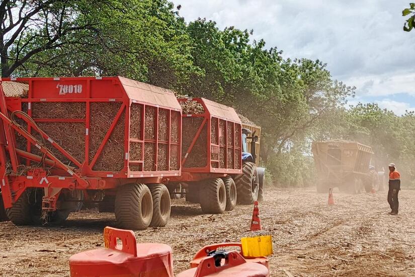 Produccion-de-azucar-en-Nicaragua-2