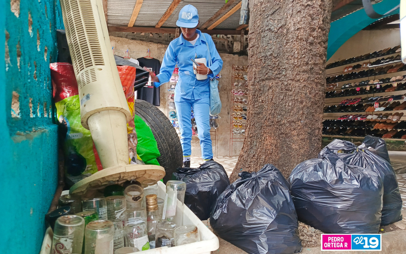 Brigadas-de-fumigacion-4