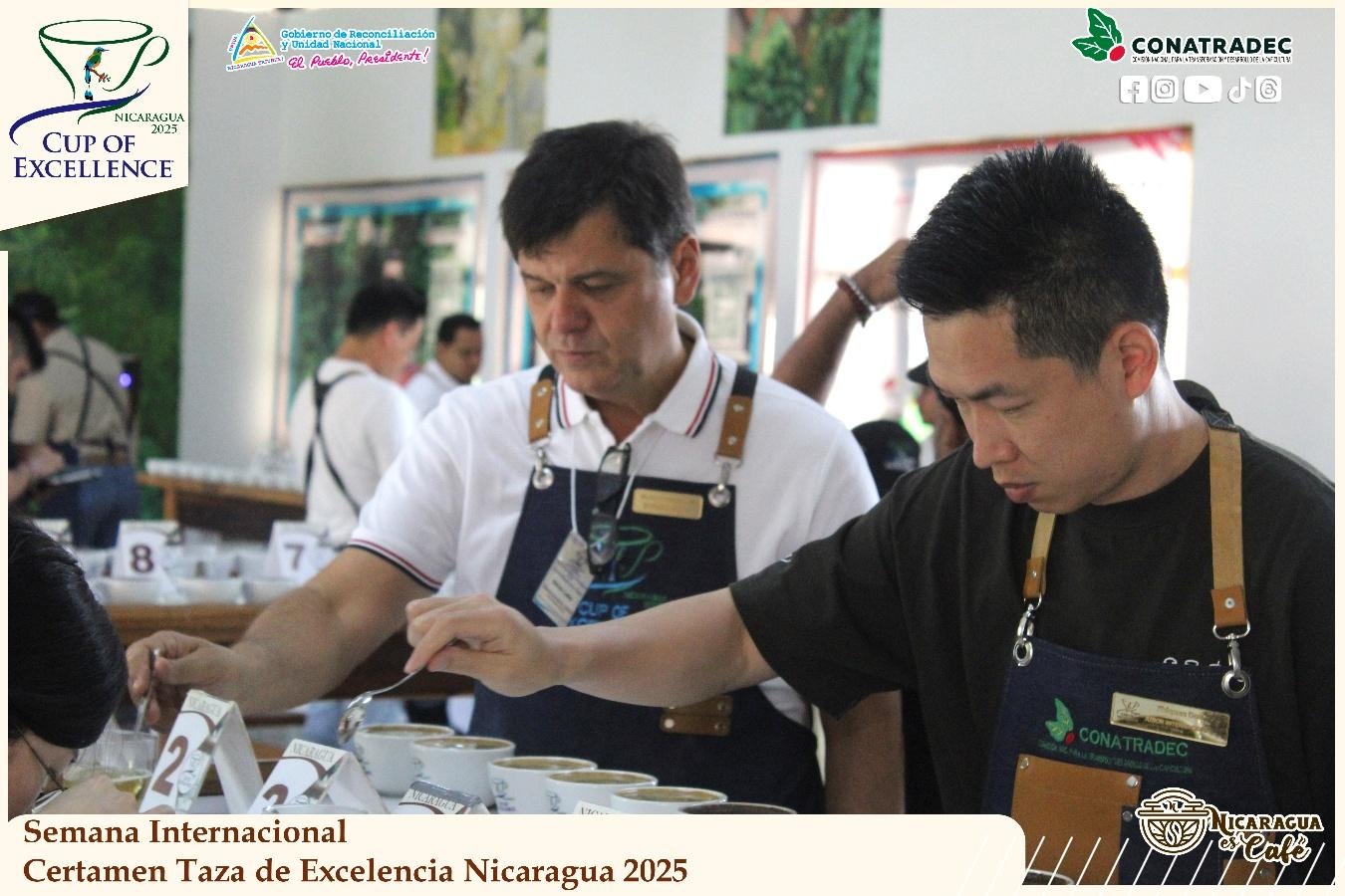 taza-de-la-excelencia8