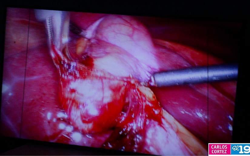 Mega-Feria-de-Salud-en-Granada-10