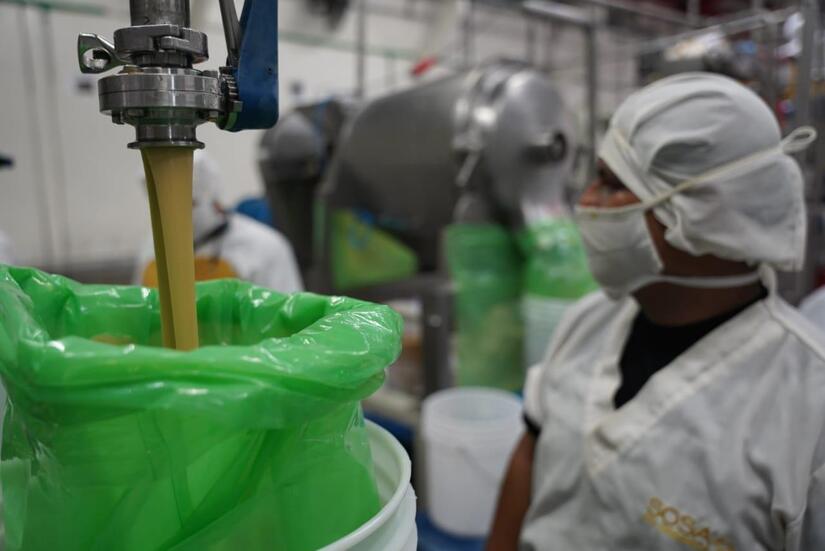 Empresa-exportadora-de-frutas-2