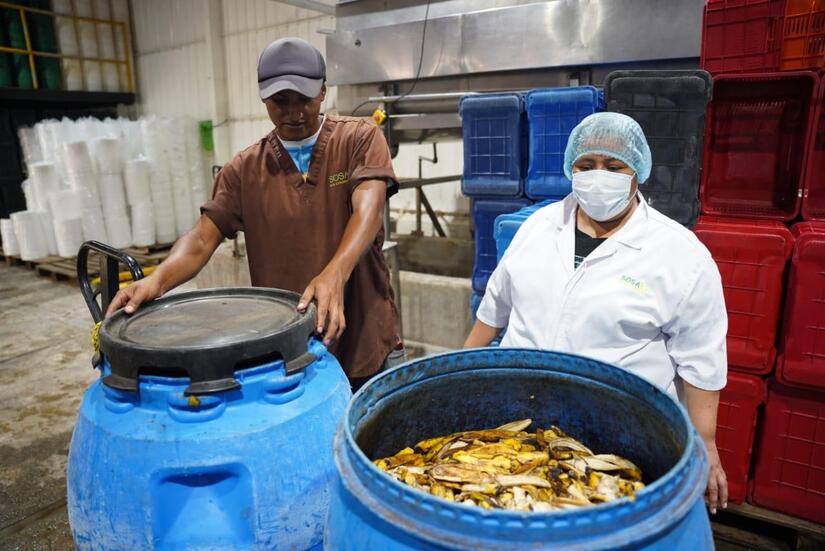 Empresa-exportadora-de-frutas-6