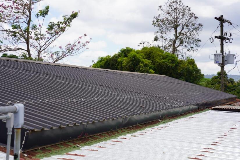 Empresa-exportadora-de-frutas-7