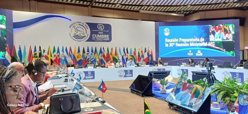 Embajada-de-Nicaragua-en-Colombia--(3)