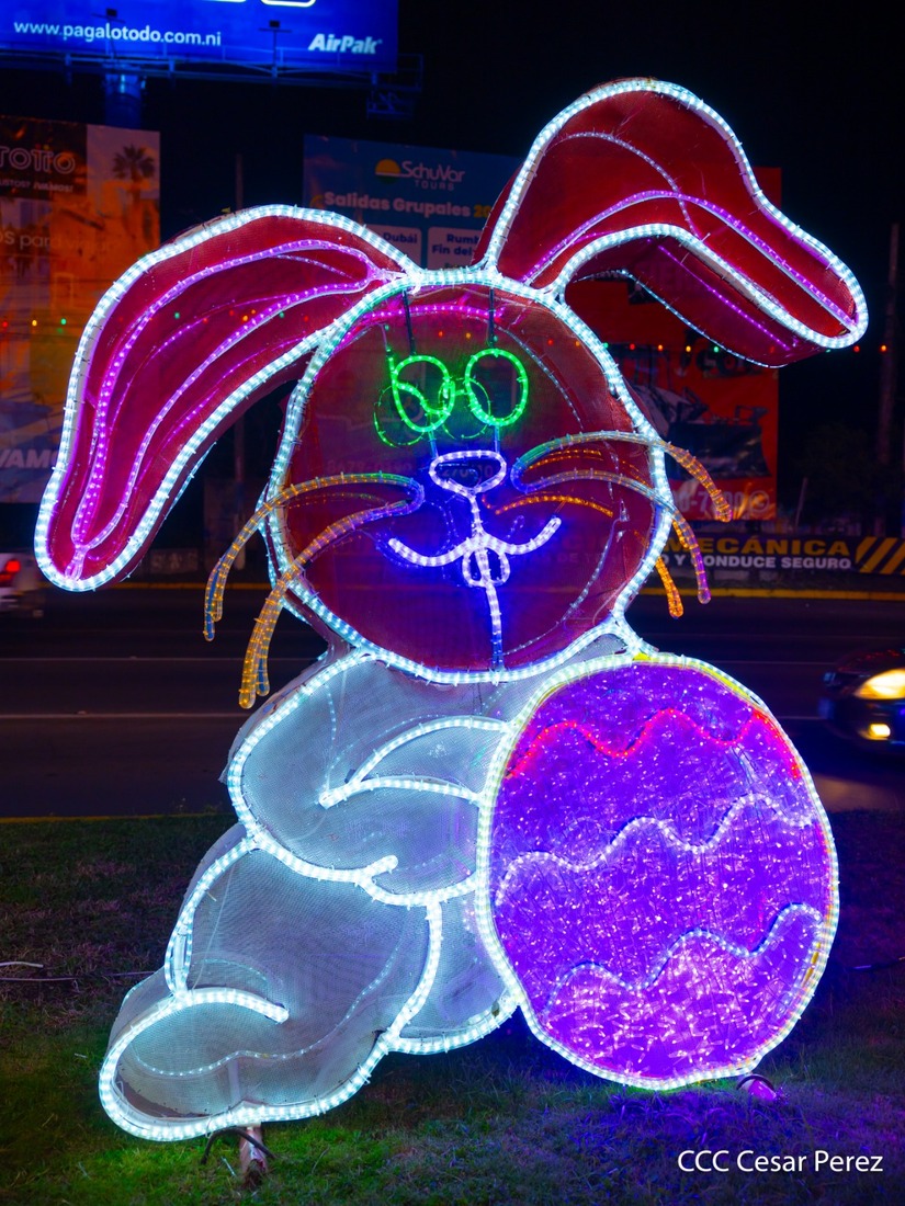 Adornos-Navidad-Managua--(17)