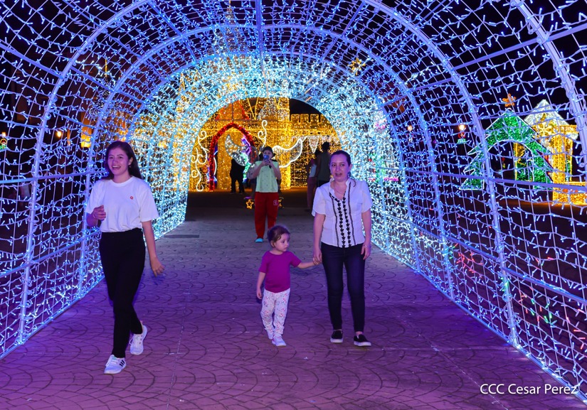 Adornos-Navidad-Managua--(55)