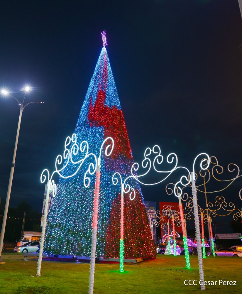 Adornos-Navidad-Managua--(7)