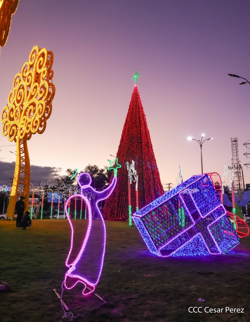 Adornos-Navidad-Managua--(8)