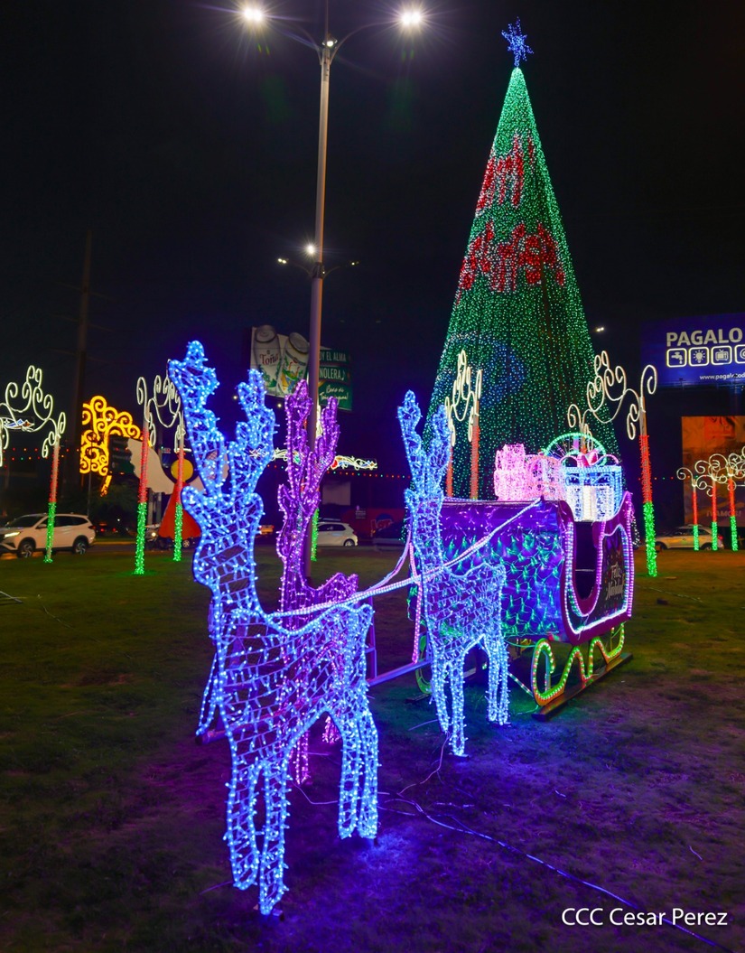 Adornos-Navidad-Managua--(9)