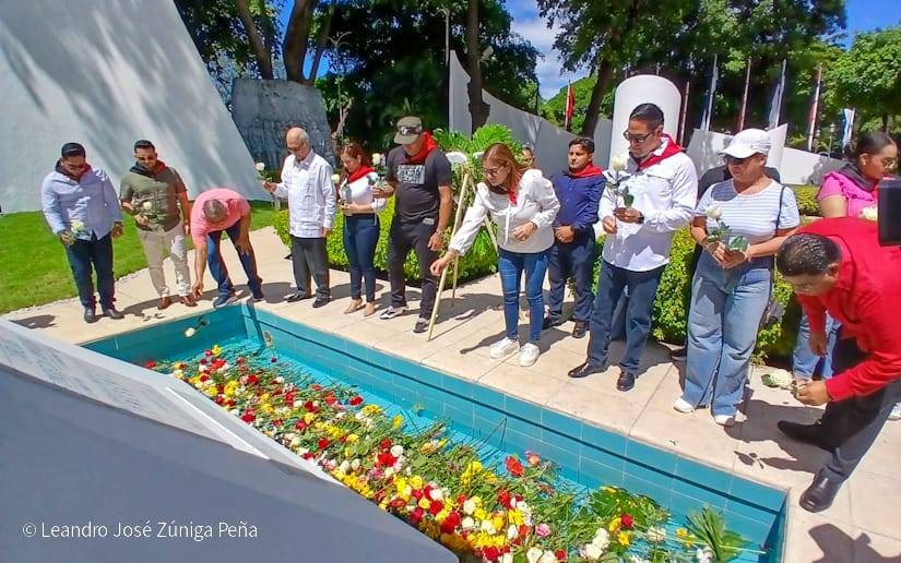 Organos-del-Estado-10