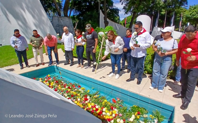 Organos-del-Estado-11