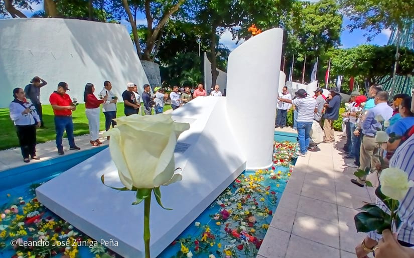 Organos-del-Estado-12