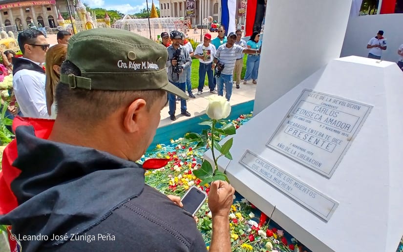 Organos-del-Estado-17