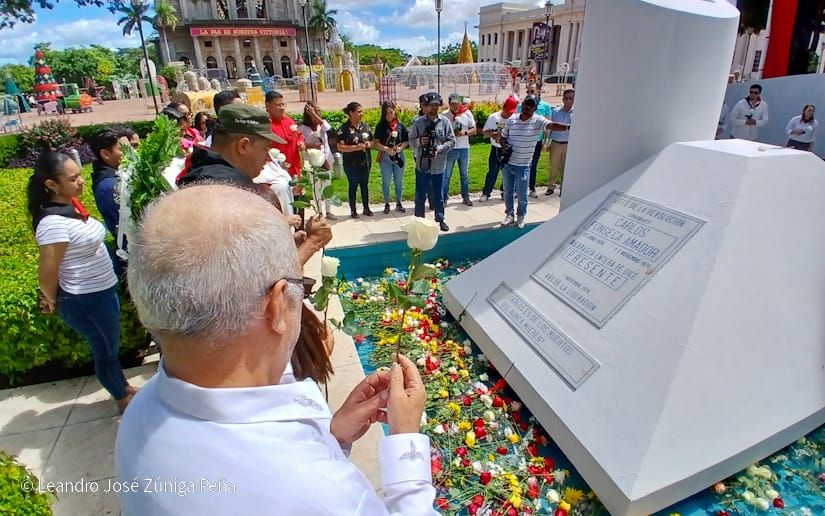 Organos-del-Estado-18