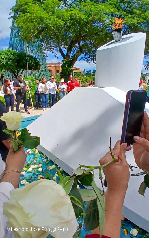 Organos-del-Estado-20