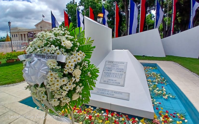 Organos-del-Estado-40