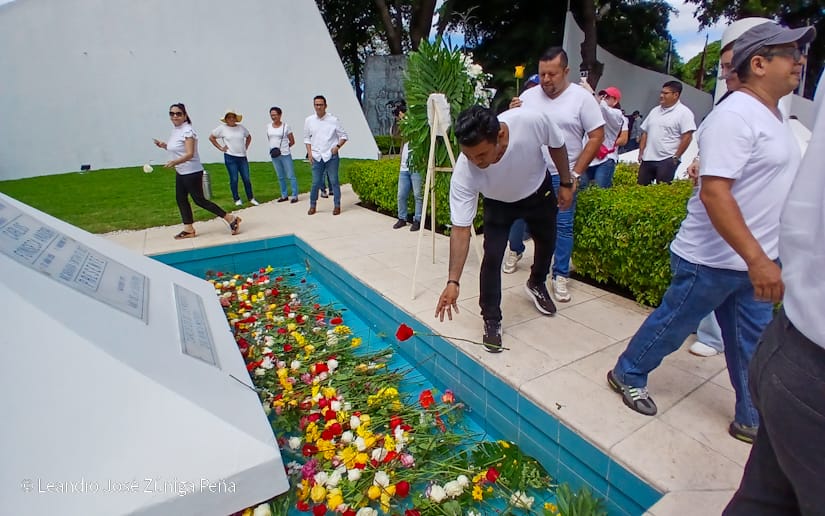 Organos-del-Estado-43