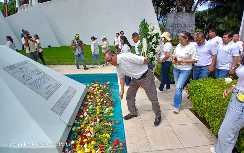 Organos-del-Estado-44