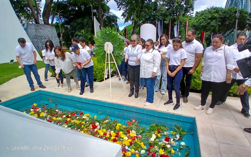 Organos-del-Estado-50