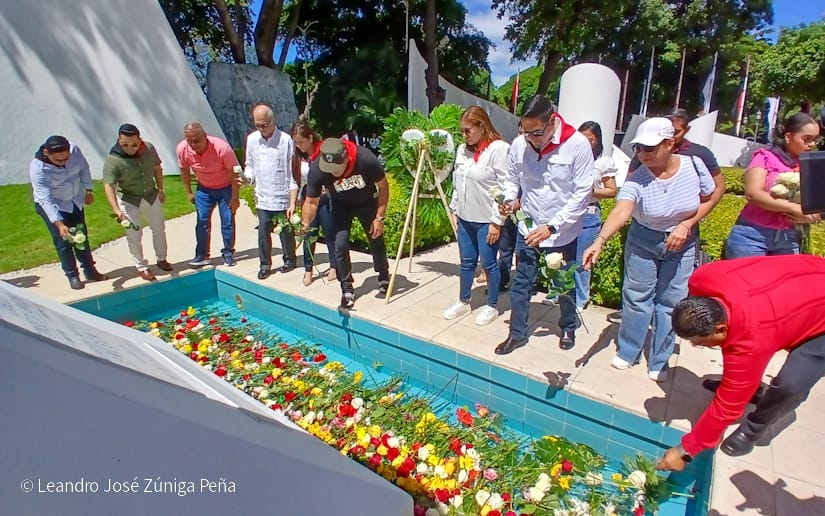 Organos-del-Estado-9