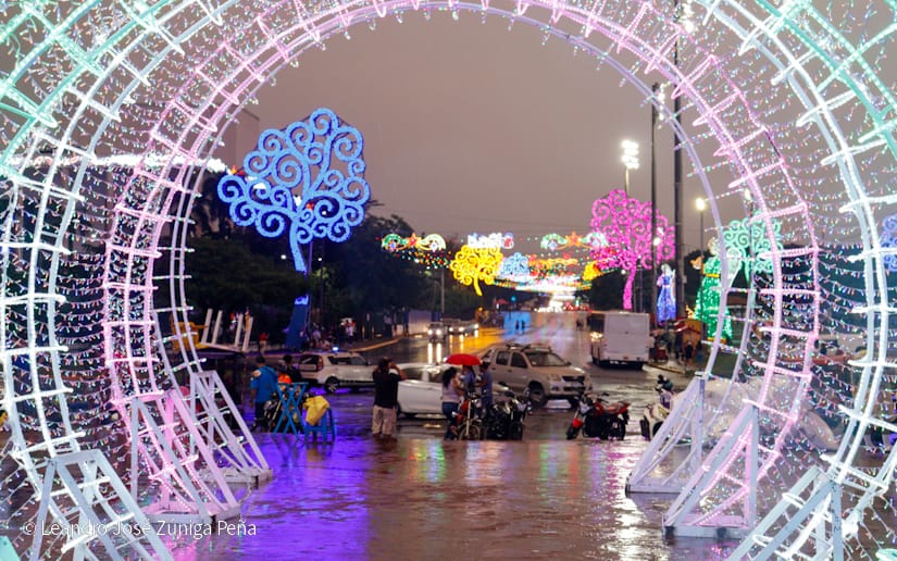 Avenida-Navidad--(1)