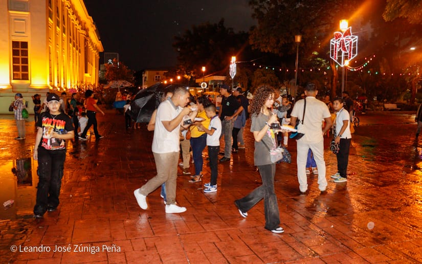 Avenida-Navidad--(15)