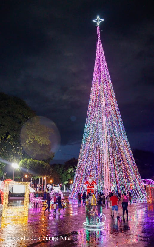 Avenida-Navidad--(17)