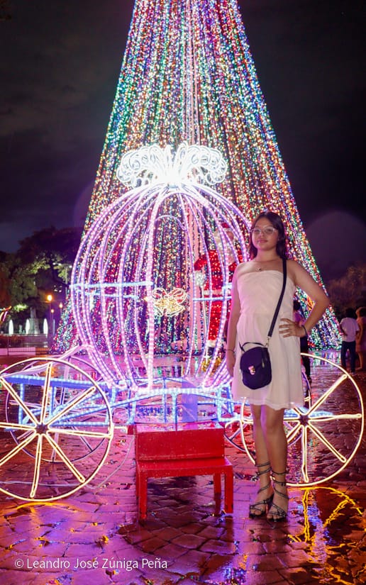 Avenida-Navidad--(20)