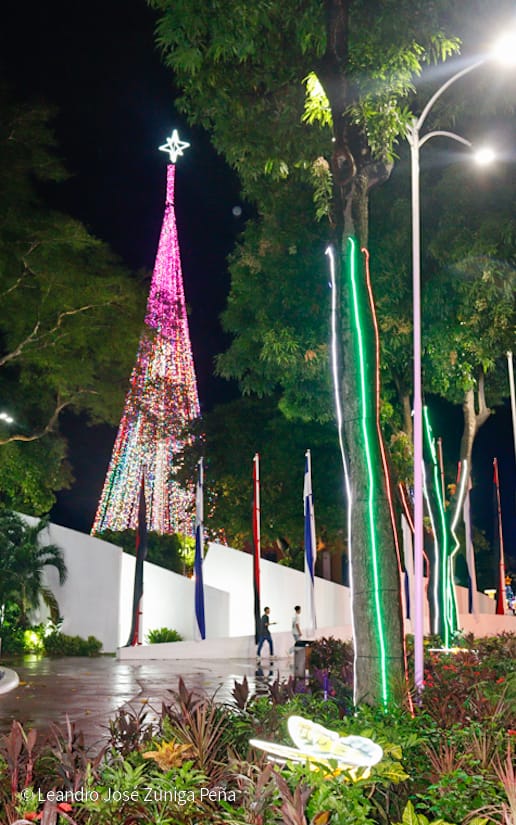 Avenida-Navidad--(25)