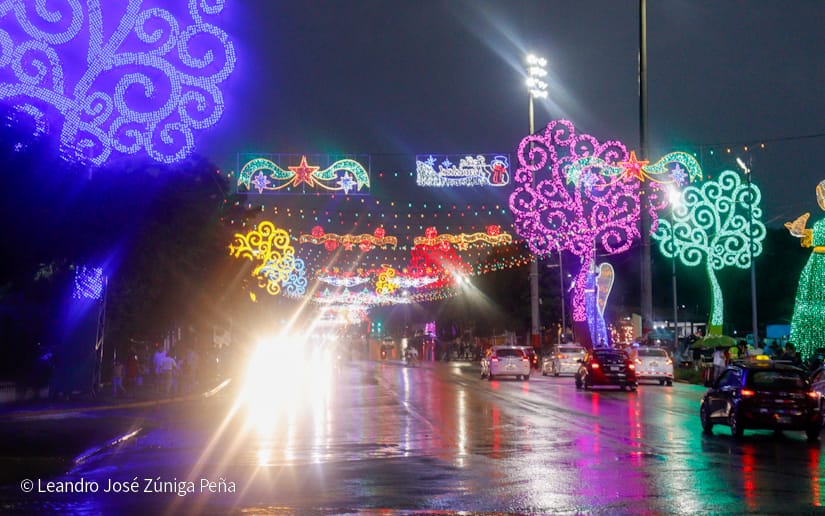 Avenida-Navidad--(3)