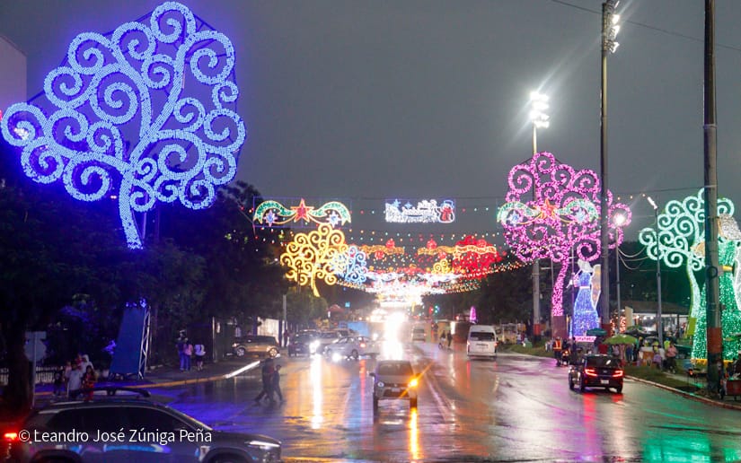Avenida-Navidad--(4)