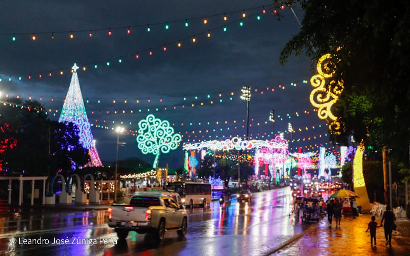 Avenida-Navidad--(6)