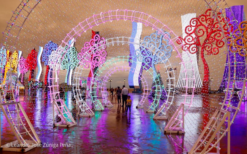 SALVADOR-ALLENDE--(24)