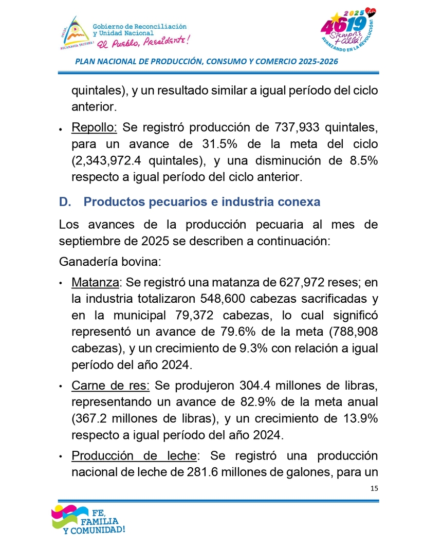 INFORME15