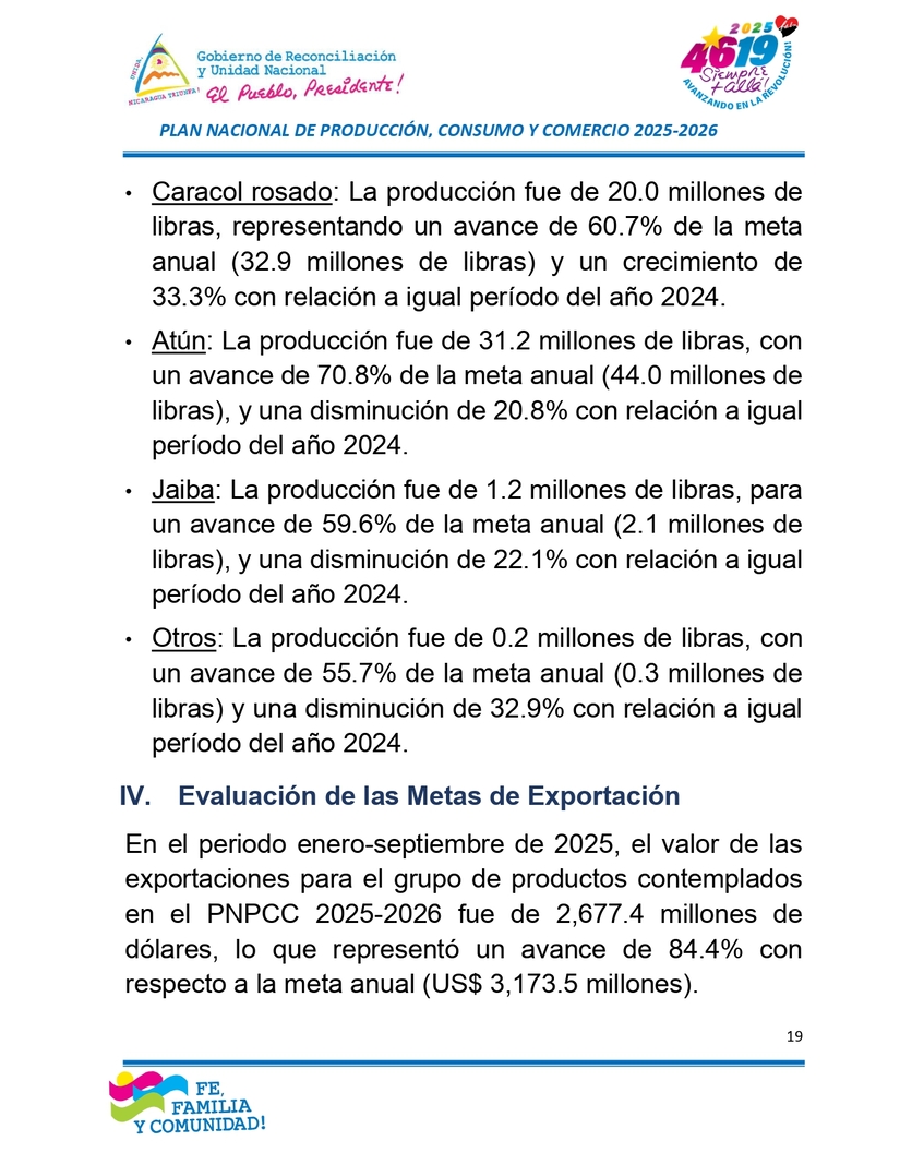 INFORME19
