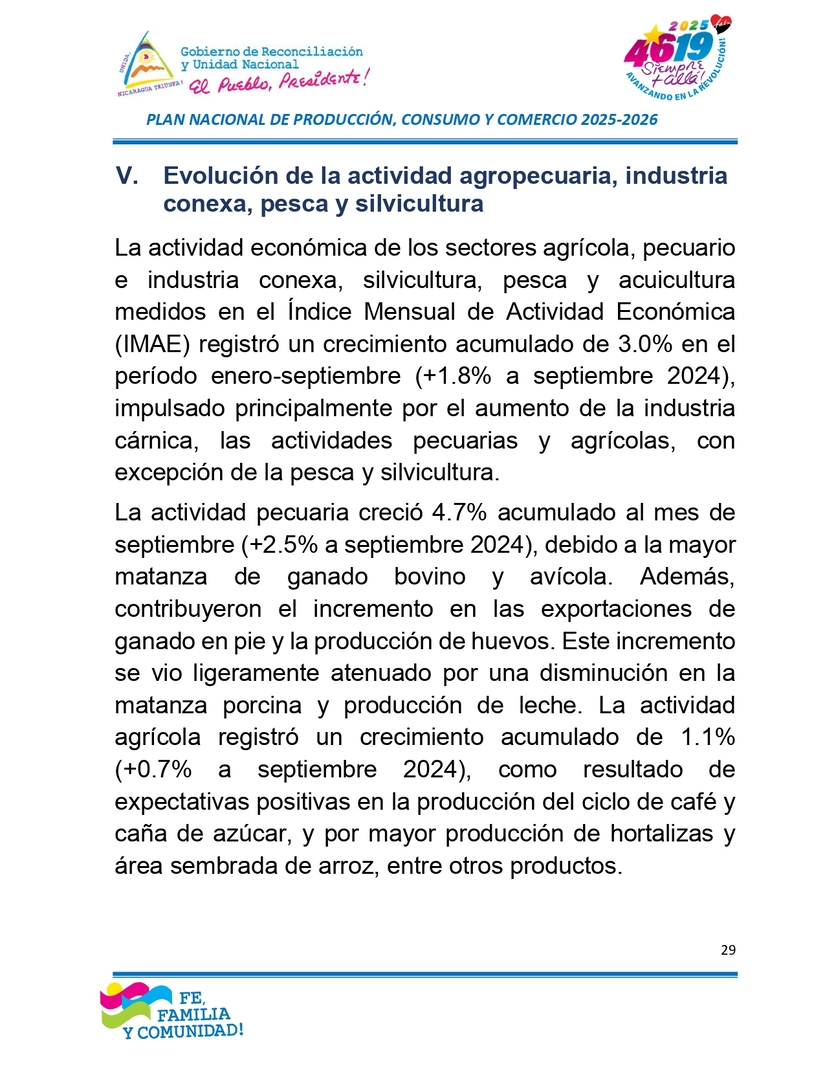 INFORME29