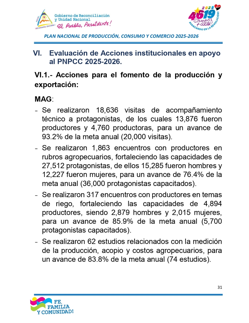 INFORME31