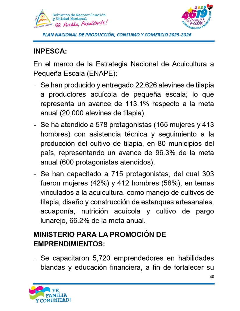 INFORME40