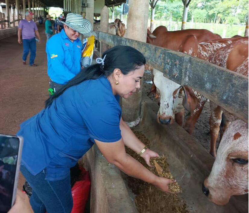Carreras-Agropecuarias-2