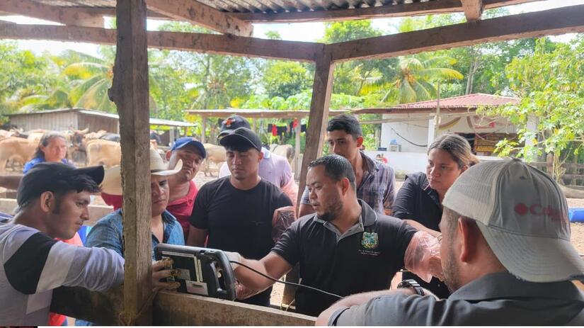 Carreras-Agropecuarias-7