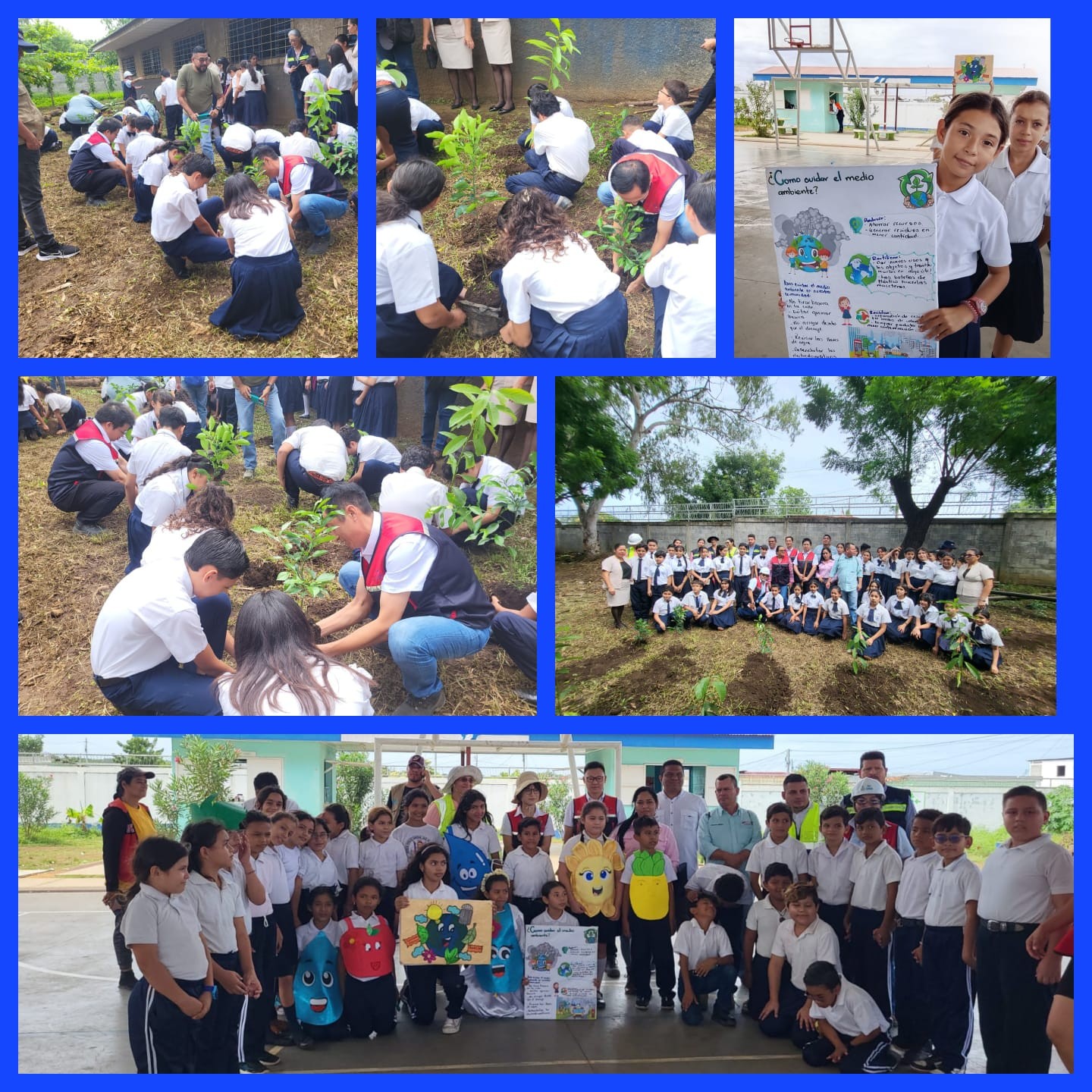 REFORESTACION4