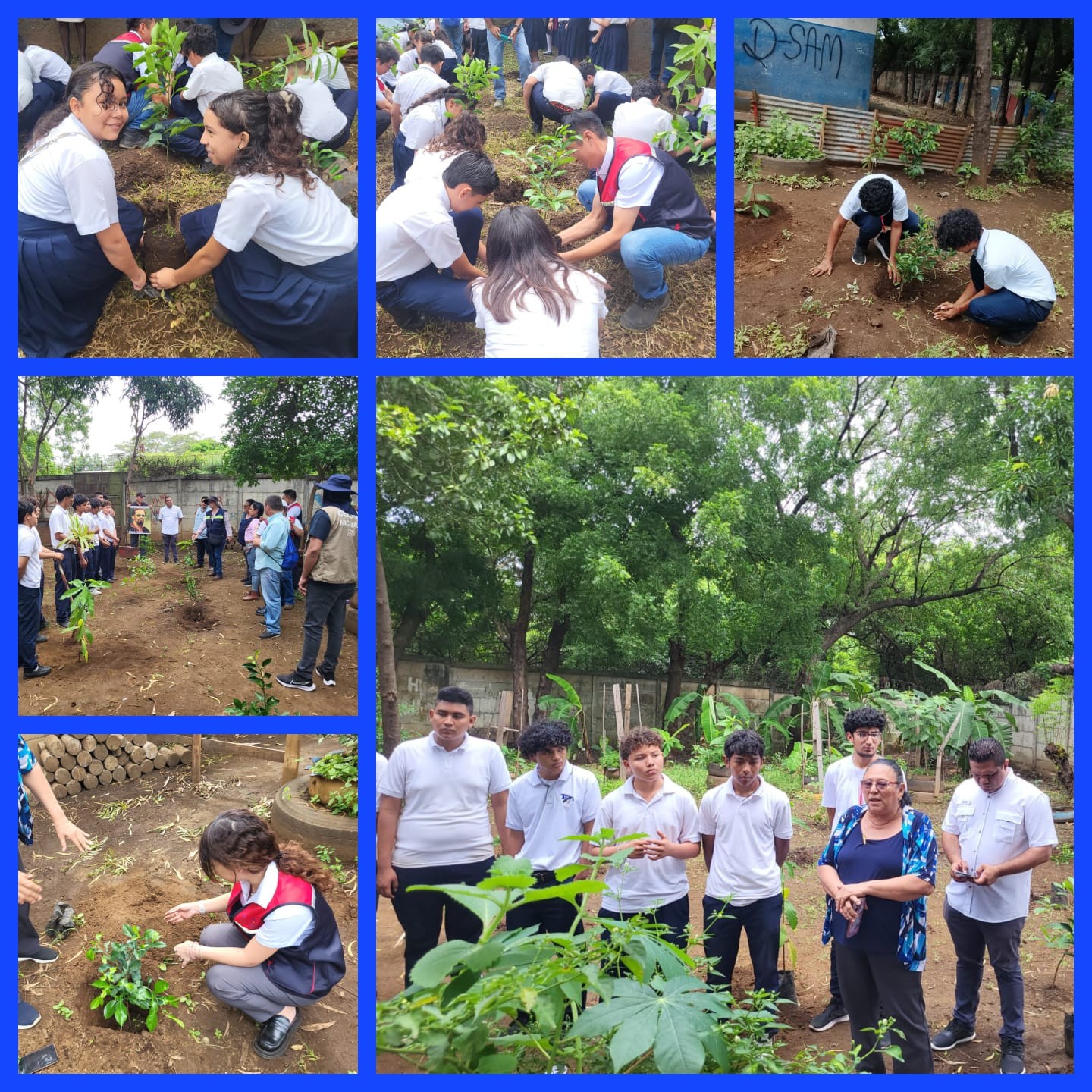 REFORESTACION5