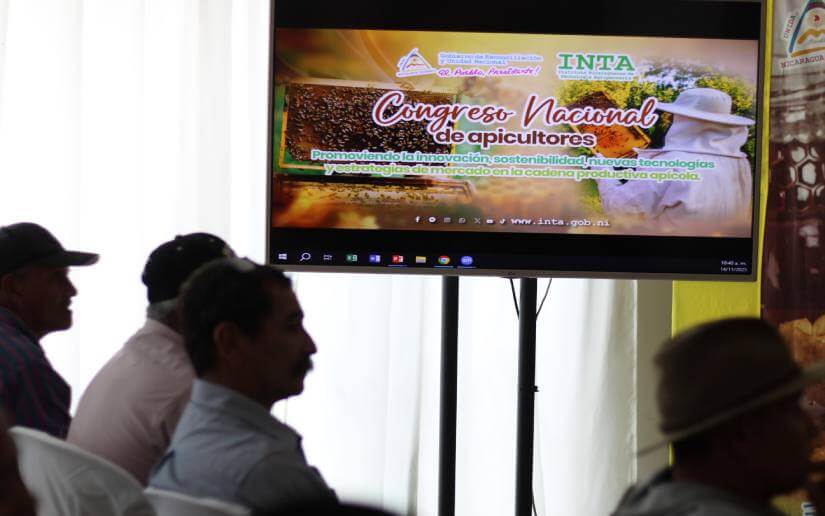 congreso-apicultores-12