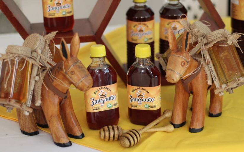 congreso-apicultores-3