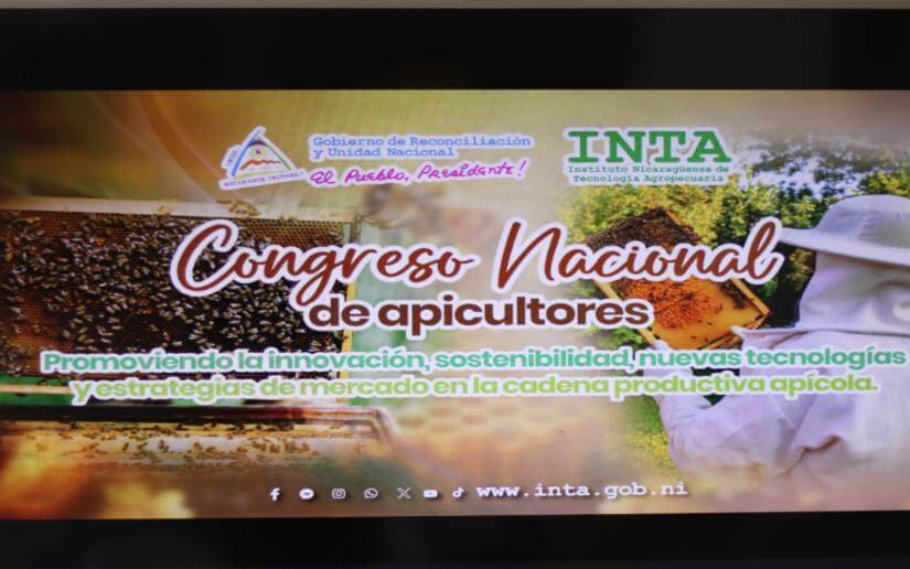 congreso-apicultores-4